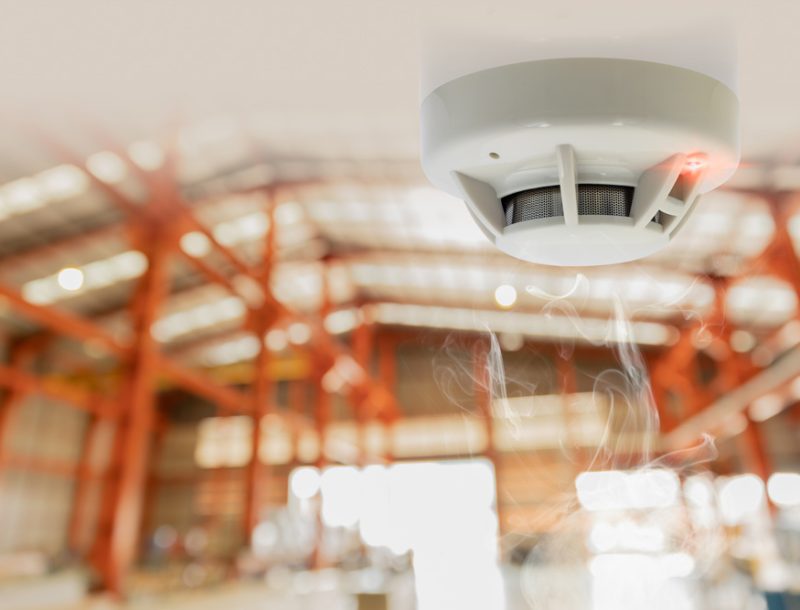 etgeka-upiresies7 etgeka-upiresies7